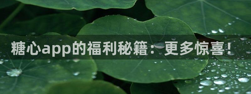 糖心vlog传媒在线