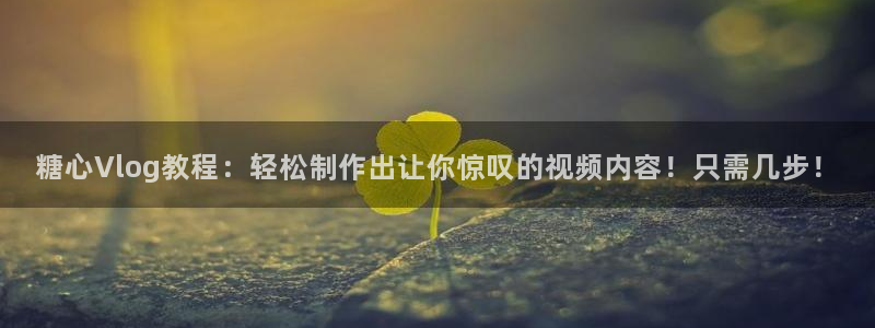 糖心vlog网页破解