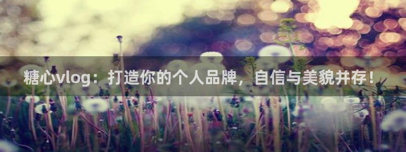 在线糖心vlog：糖心vlog：打造你的