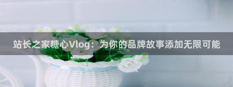 成人软件糖心vlog