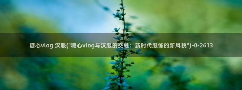 心糖vlog全部