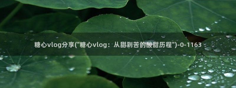 糖心vlog地址