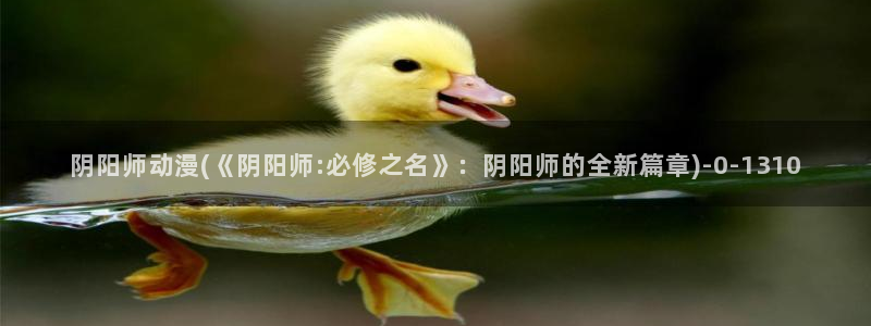 风之动漫