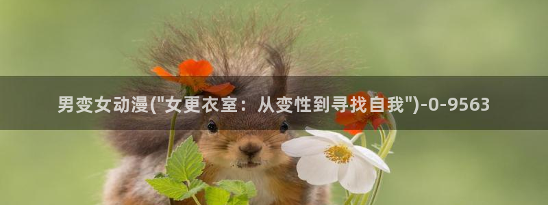 看动漫的网站：男变女动漫(\