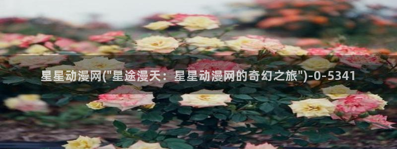 黑暗圣经动漫：星星动漫网(\