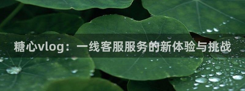 糖心vlog中秋视频：糖心vlog：一线客服服务的新体验与挑战