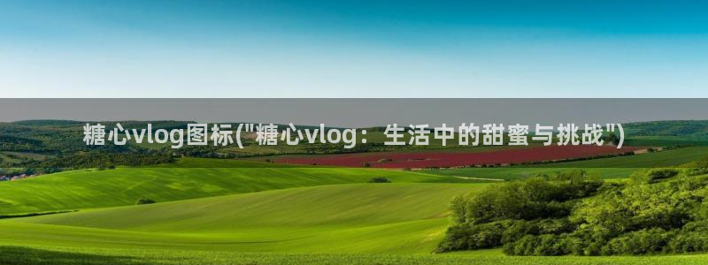 糖心vlog 金善雅：糖心vlog图标(\