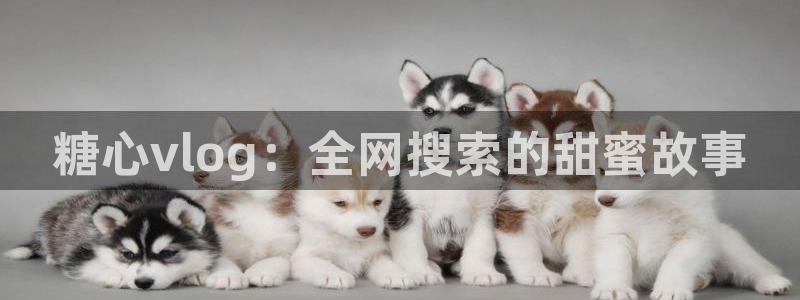 洛丽塔vlog糖心：糖心vlog：全网搜索的甜蜜故事