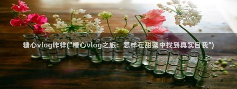 糖心vlog门牌:糖心vlog咋样(\