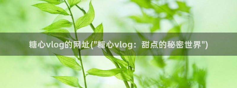 糖心vlog圣诞特辑:糖心vlog的网址