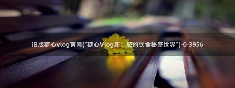 糖心vlog金：旧版糖心vlog官网(\