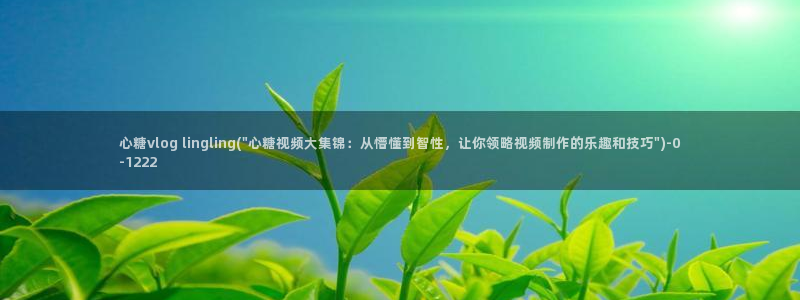 糖心vlog苹果破解：心糖vlog lingling(\