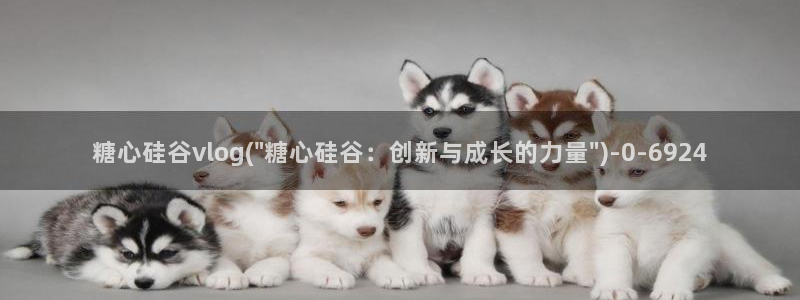 糖心vlog心动时刻:糖心硅谷vlog(