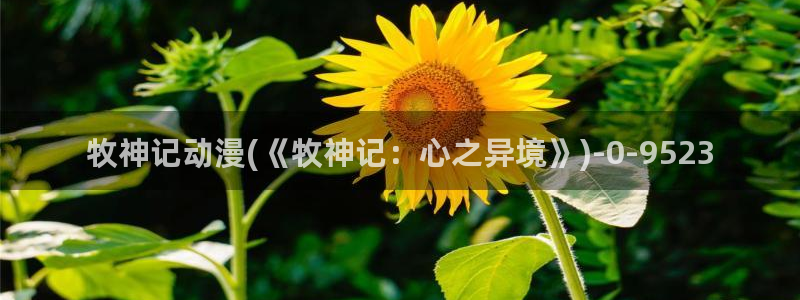 cc动漫